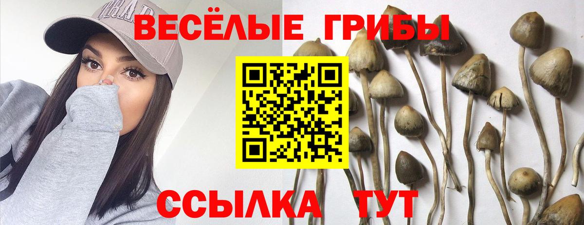 Галлюциногенные грибы мухоморы  Галлюциногенные грибы Psilocybe  Лесозаводск  Вход с VPN 